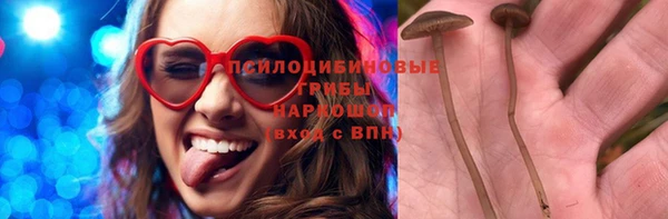 МДПВ Магас