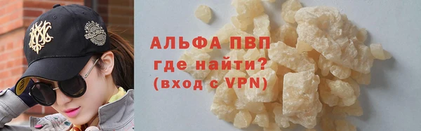 гашик Майский