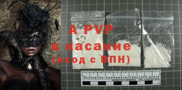 гашик Майский