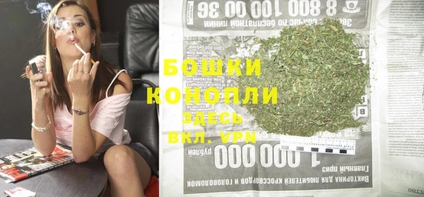 гашик Майский