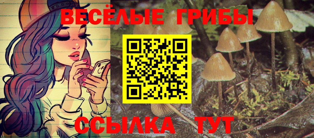 Галлюциногенные грибы мухоморы Углич