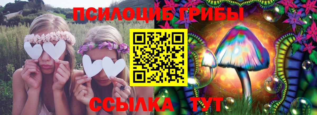 Галлюциногенные грибы мицелий  Псилоцибиновые грибы MAGIC MUSHROOMS  Углич  Вход с VPN 
